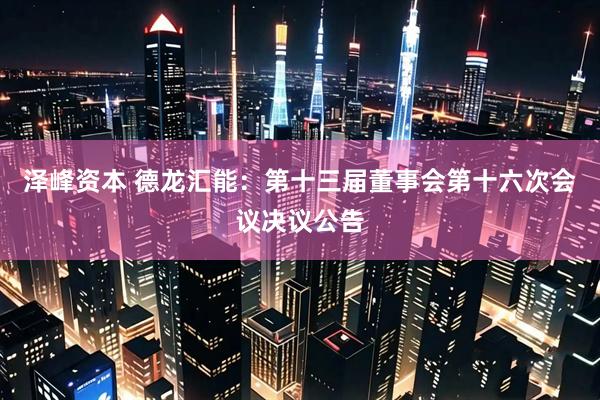 泽峰资本 德龙汇能：第十三届董事会第十六次会议决议公告
