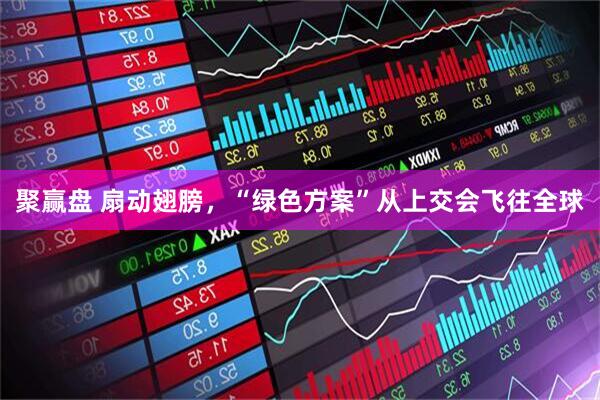 聚赢盘 扇动翅膀，“绿色方案”从上交会飞往全球