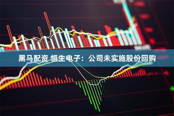 黑马配资 恒生电子：公司未实施股份回购