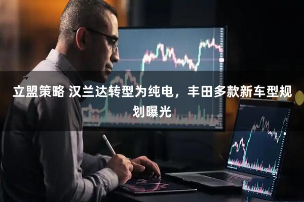 立盟策略 汉兰达转型为纯电，丰田多款新车型规划曝光