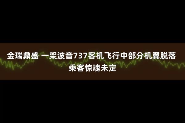 金瑞鼎盛 一架波音737客机飞行中部分机翼脱落 乘客惊魂未定