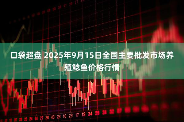口袋超盘 2025年9月15日全国主要批发市场养殖鲶鱼价格行情