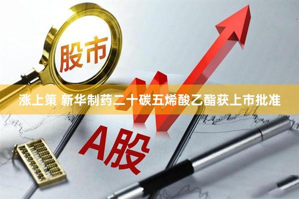 涨上策 新华制药二十碳五烯酸乙酯获上市批准