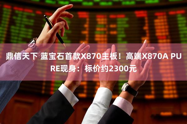 鼎信天下 蓝宝石首款X870主板！高端X870A PURE现身：标价约2300元
